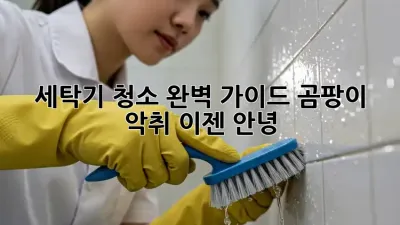세탁기 청소 완벽 가이드: 곰팡이, 악취 이젠 안녕!
