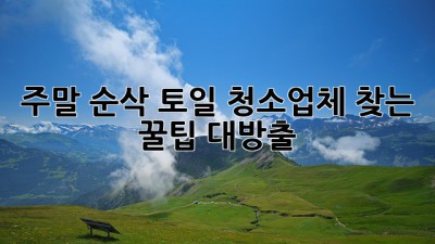 주말 순삭🧹 토/일 청소업체 찾는 꿀팁 대방출! ✨